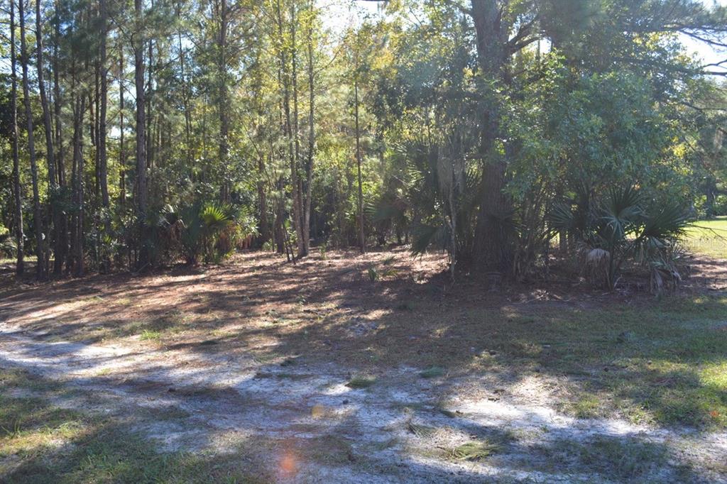 Sanford, Florida, 32773, United States, ,Land,For Sale,1987674