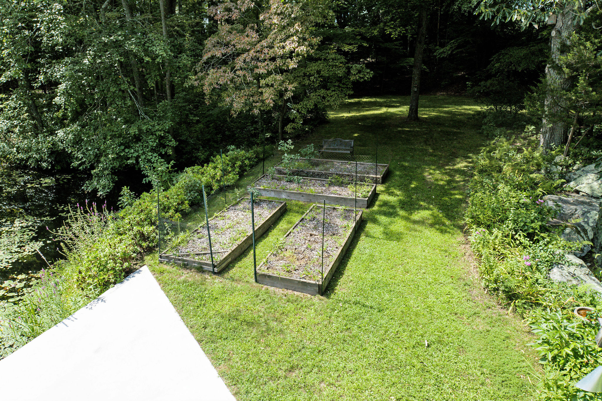  Secluded Country Oasis Nestled on 13 Acres of Privacy - 物件實景