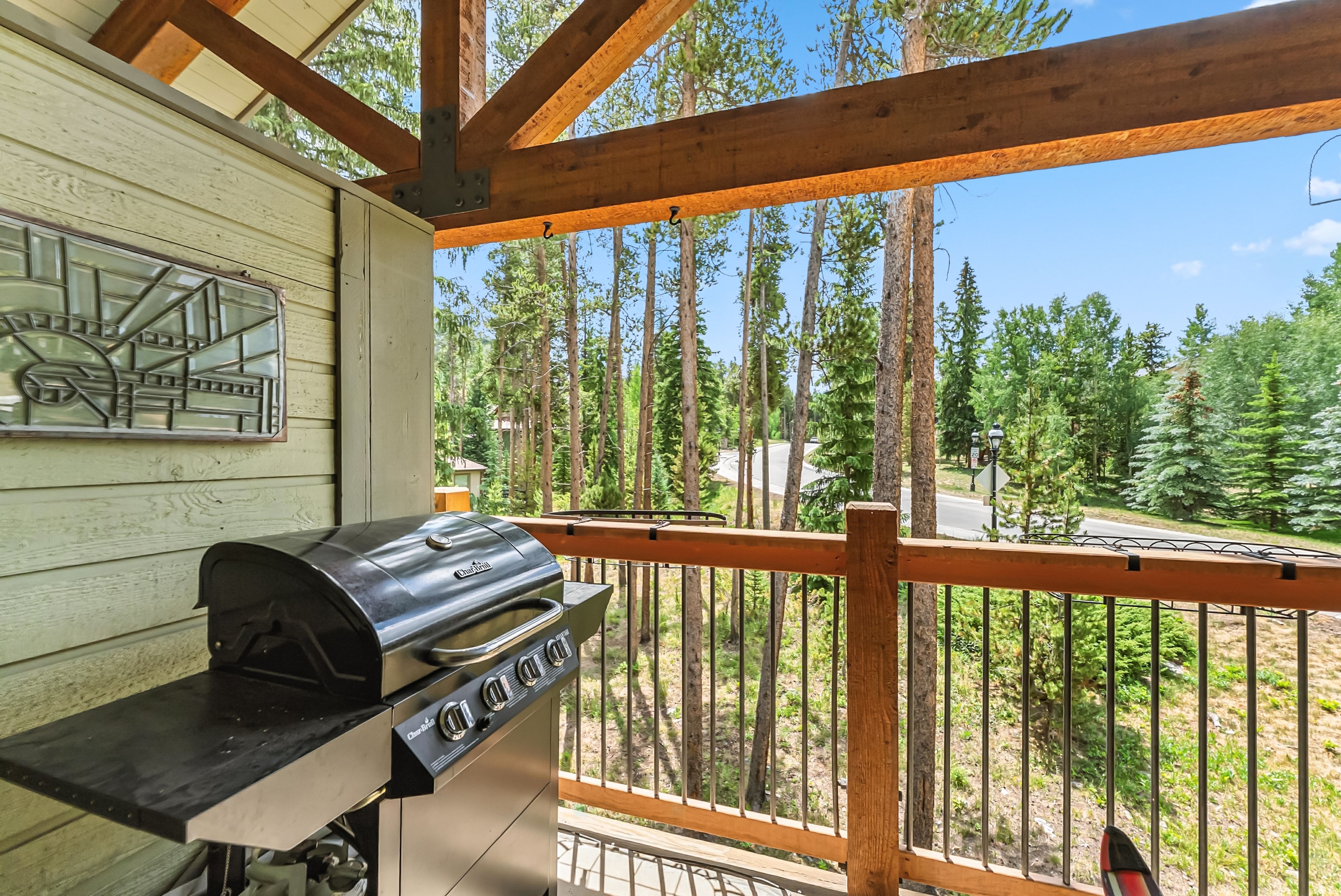  550 S French Street,Breckenridge, CO, 80424 - 物件實景