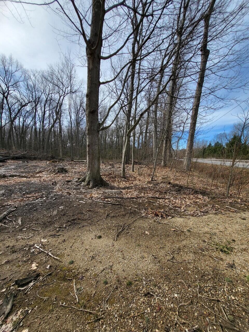 Union Pier, Michigan, 49129, United States, ,Land,For Sale,1989397