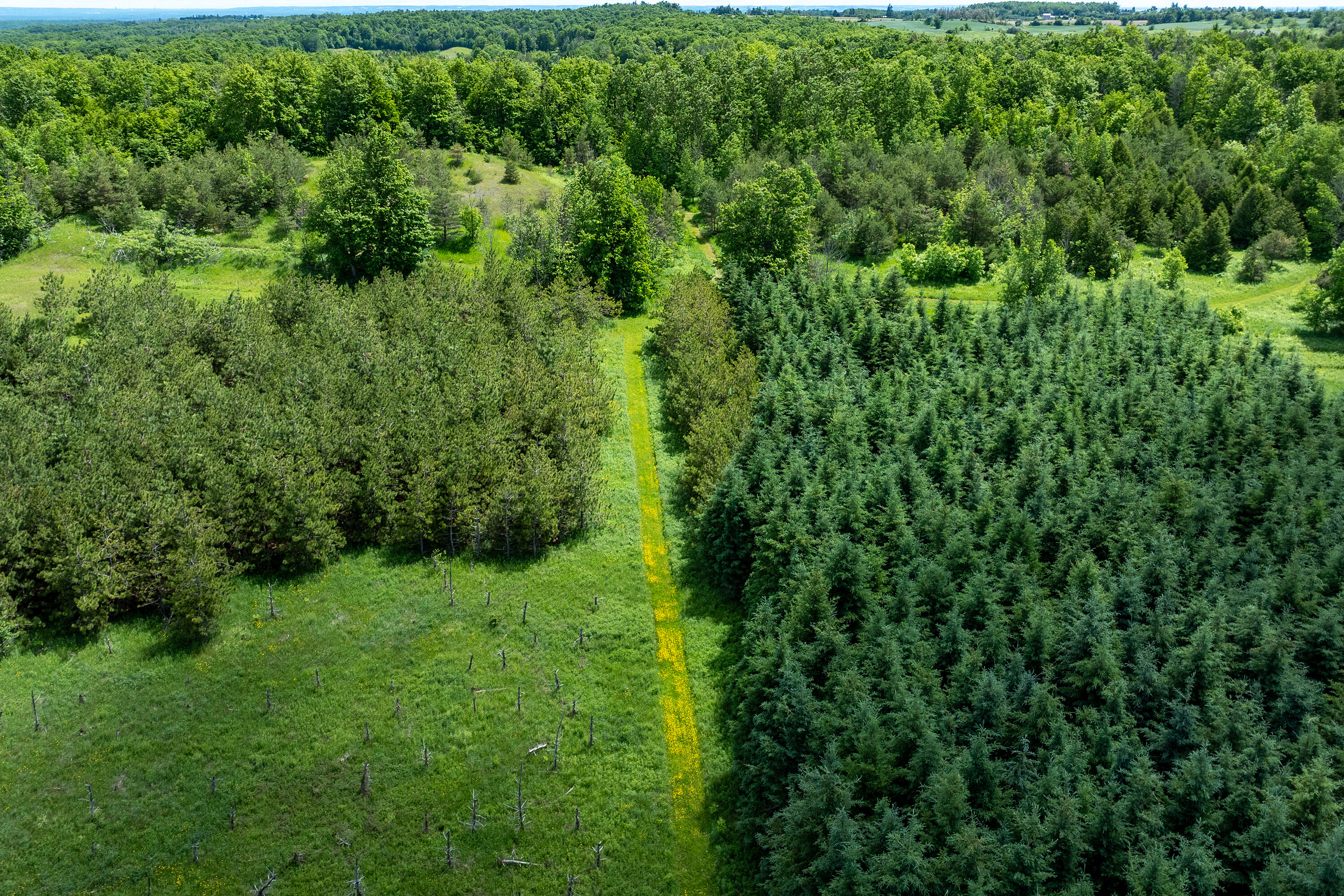  50 acre parcel in Mulmur ON - 物件實景