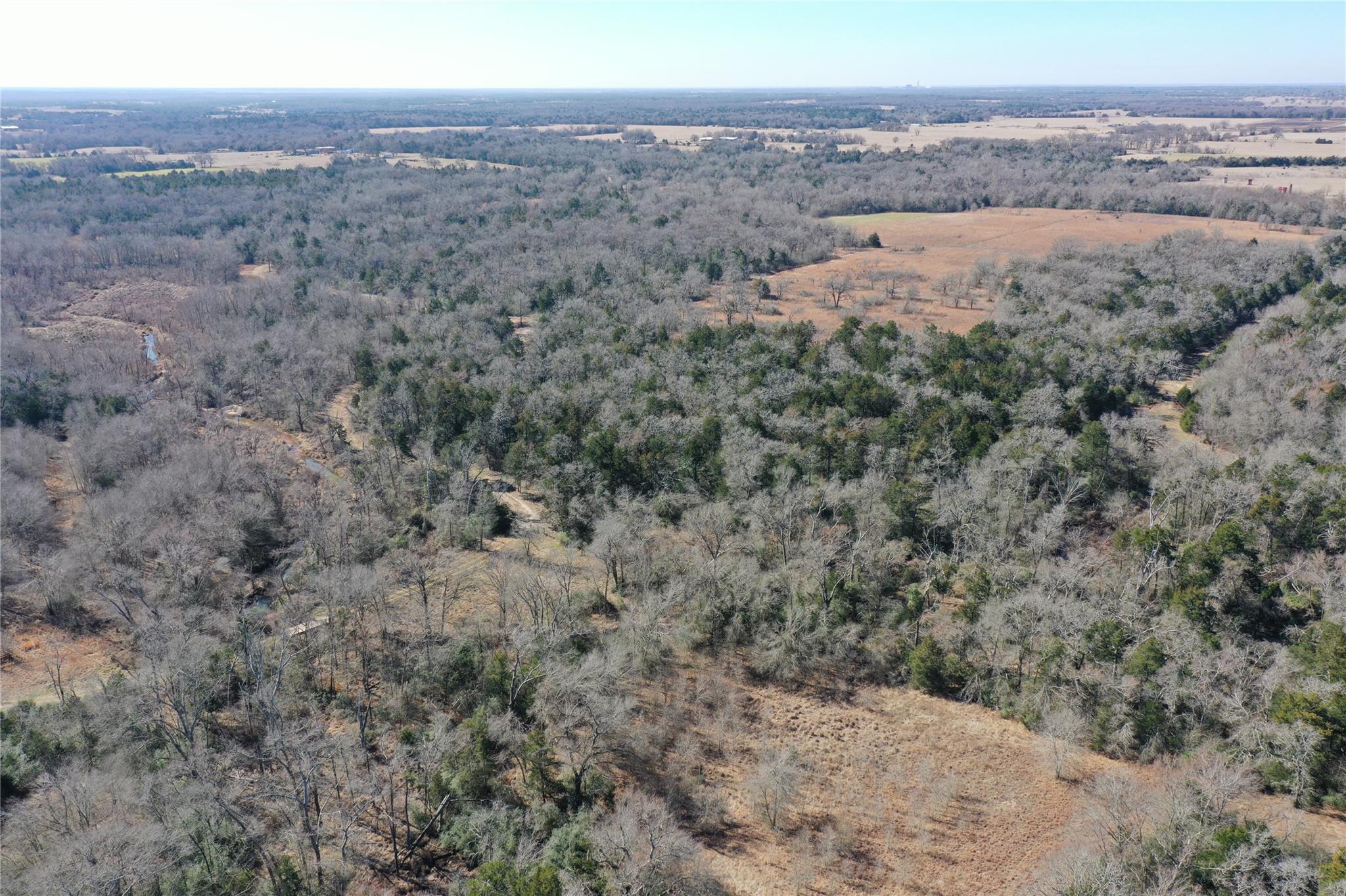 1151 Fowler Road, Bremond, Texas, 76629, United States, ,Land,For Sale,1151 Fowler Road,1621605