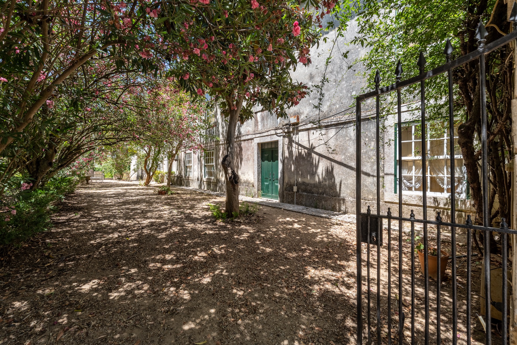  Farm, 12 bedrooms, for Sale - 物件實景