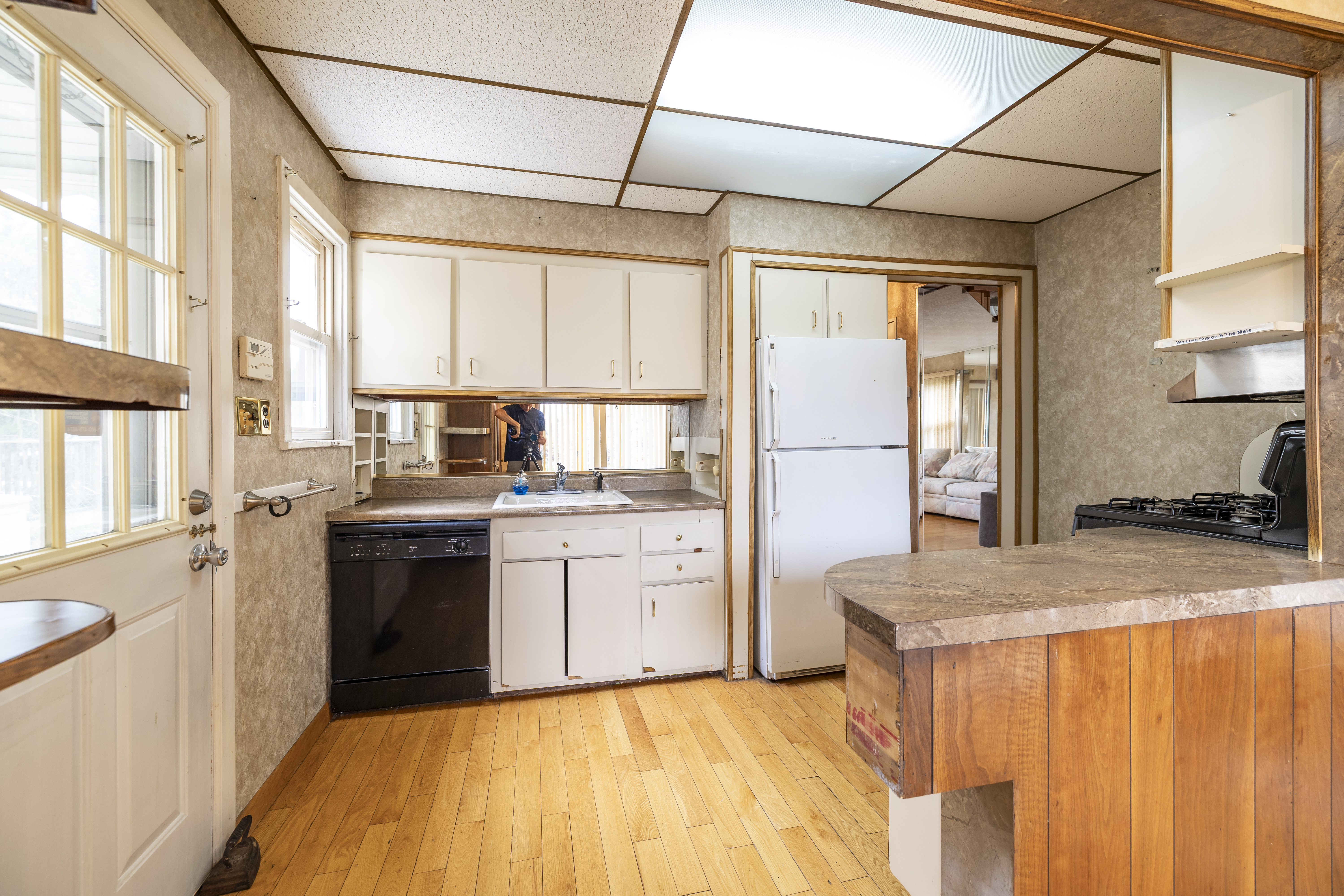  49 Roosevelt Court, Westbury, NY, 11590 - 物件實景