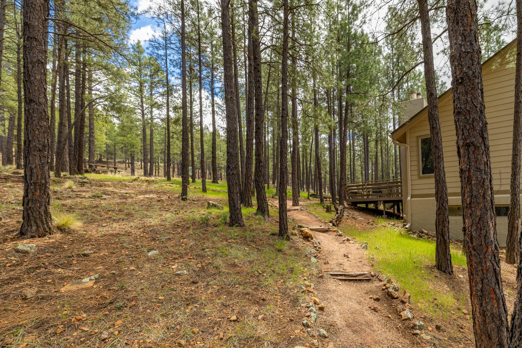  1426 N Edgewood Street¦Flagstaff, AZ - 物件實景