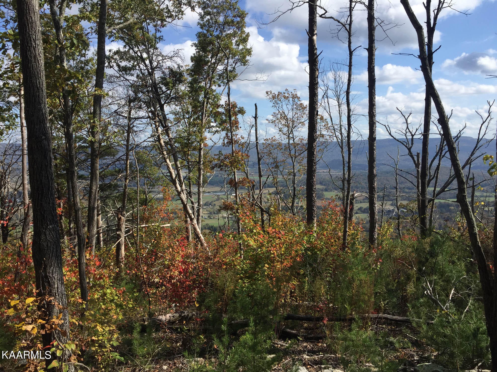 Pikeville, Tennessee, 37367, United States, ,Residential,For Sale,1943070