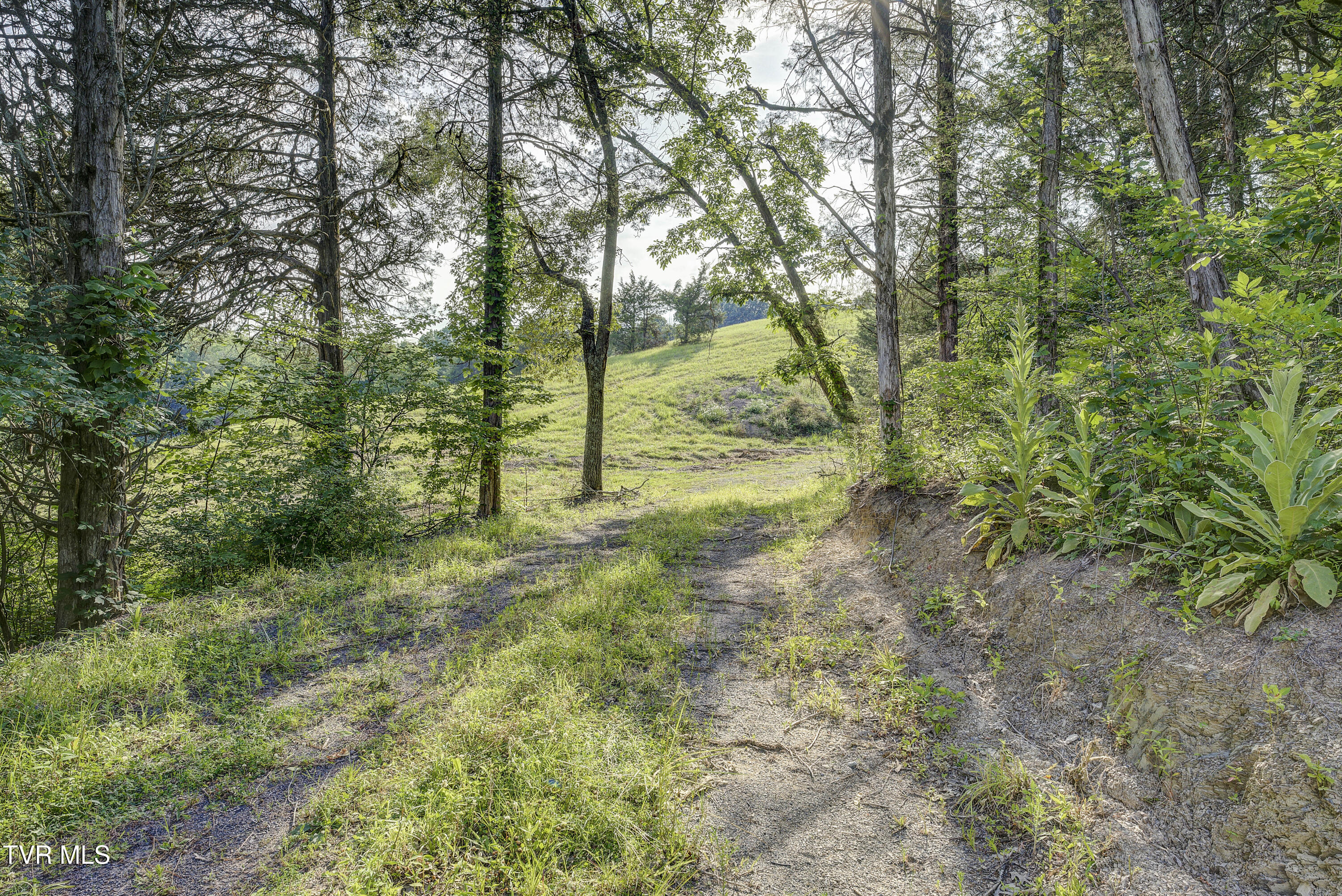Piney Flats, Tennessee, 37686, United States, ,Land,For Sale,1983828