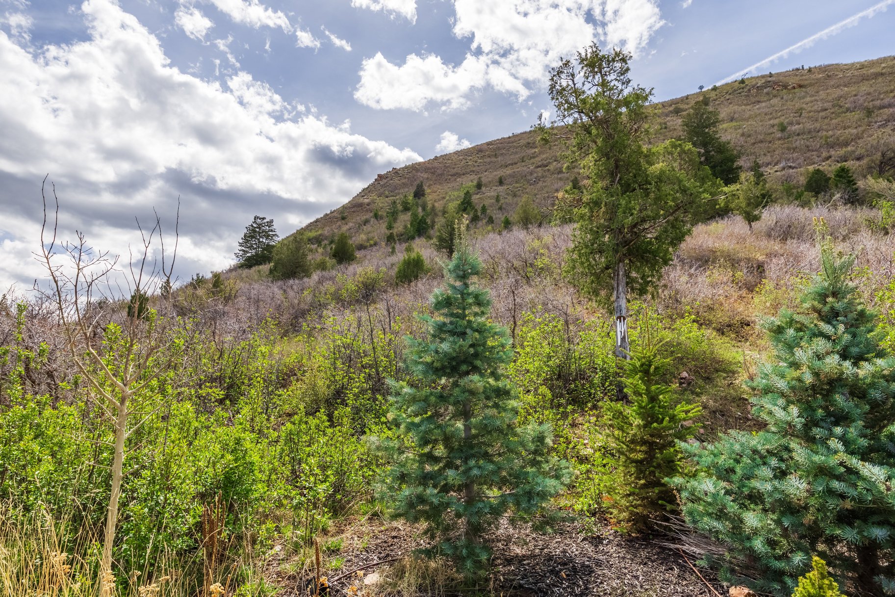  Private Kamas living near Schools and Nature. - 物件實景