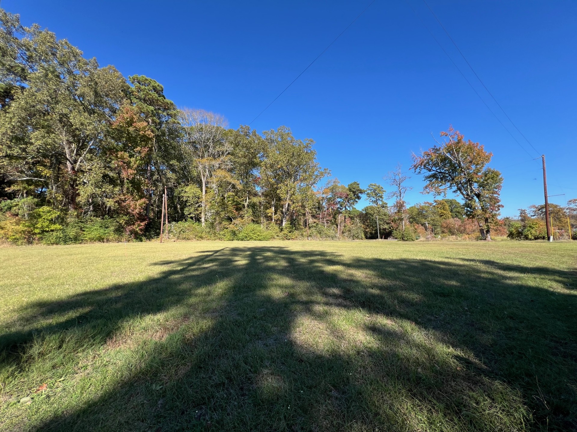 Converse, Louisiana, 71419, United States, ,Residential,For Sale,1995387