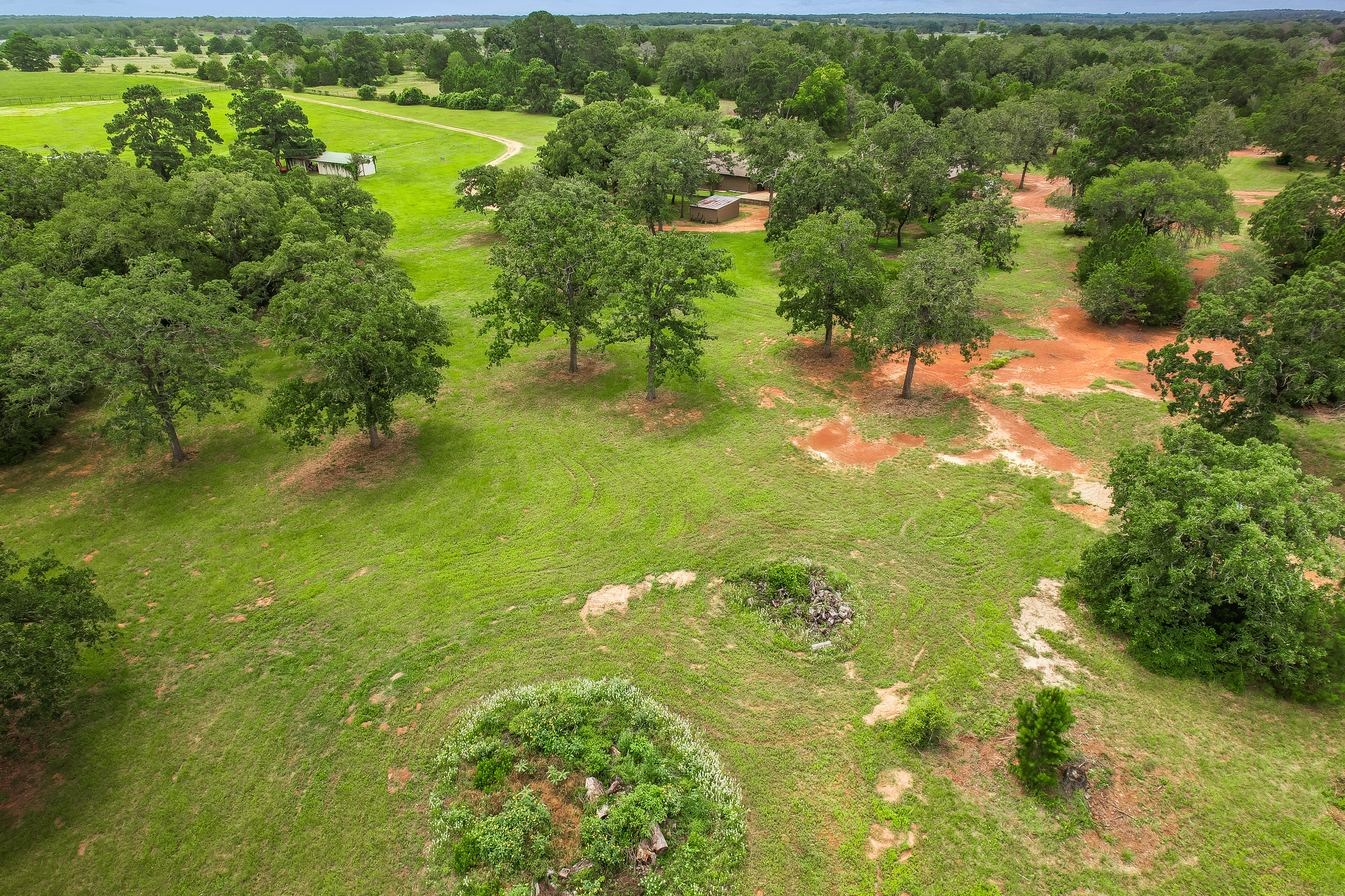  Pine Meadows Farm - 物件實景
