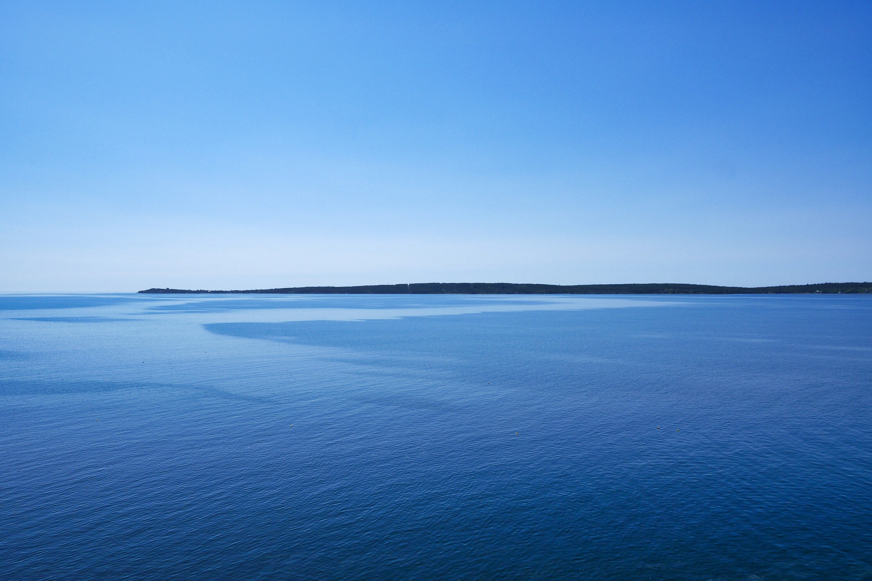  Feltzen South, South Shore - 物件實景