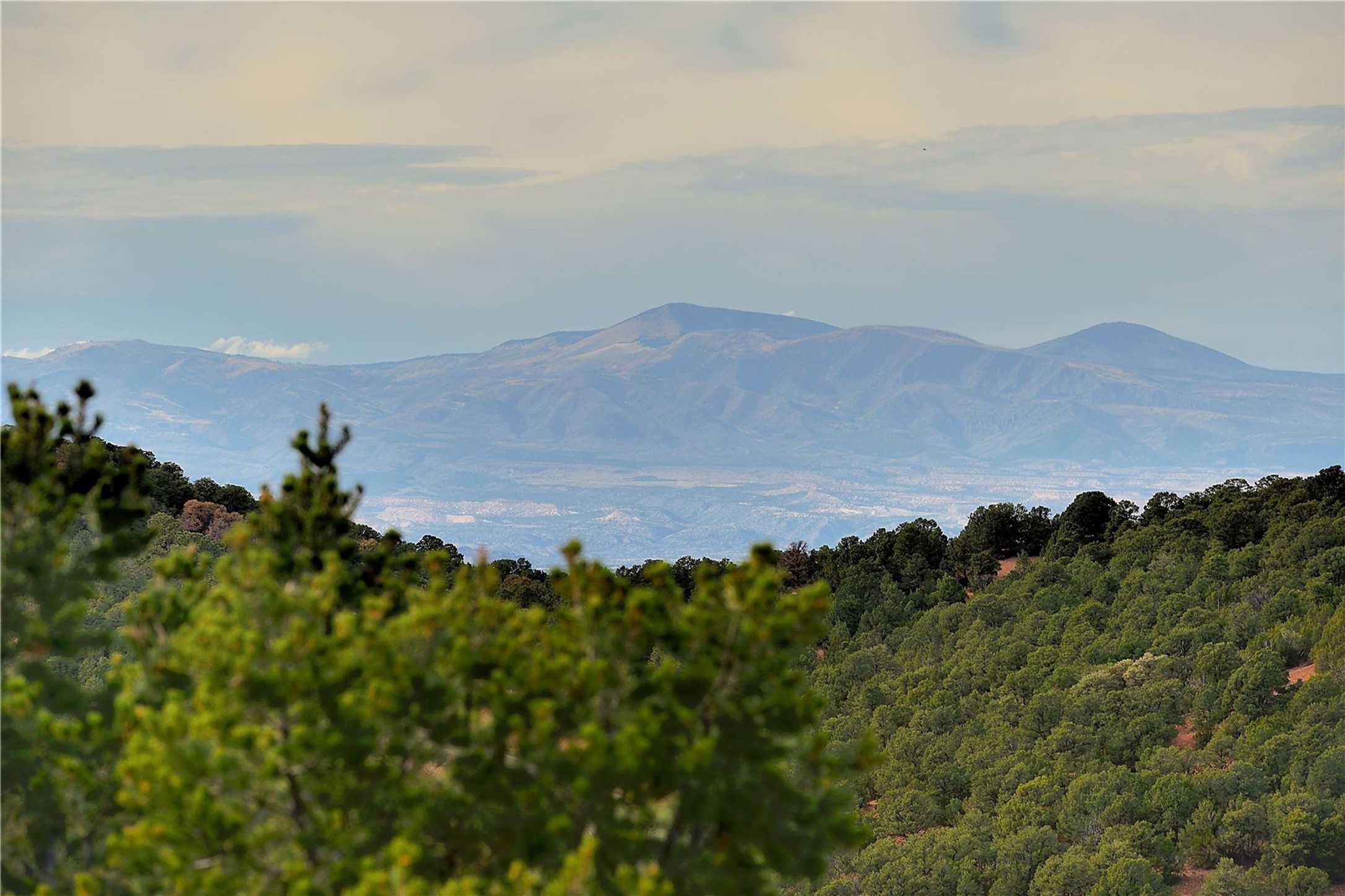  1109 S Summit Ridge - 物件實景