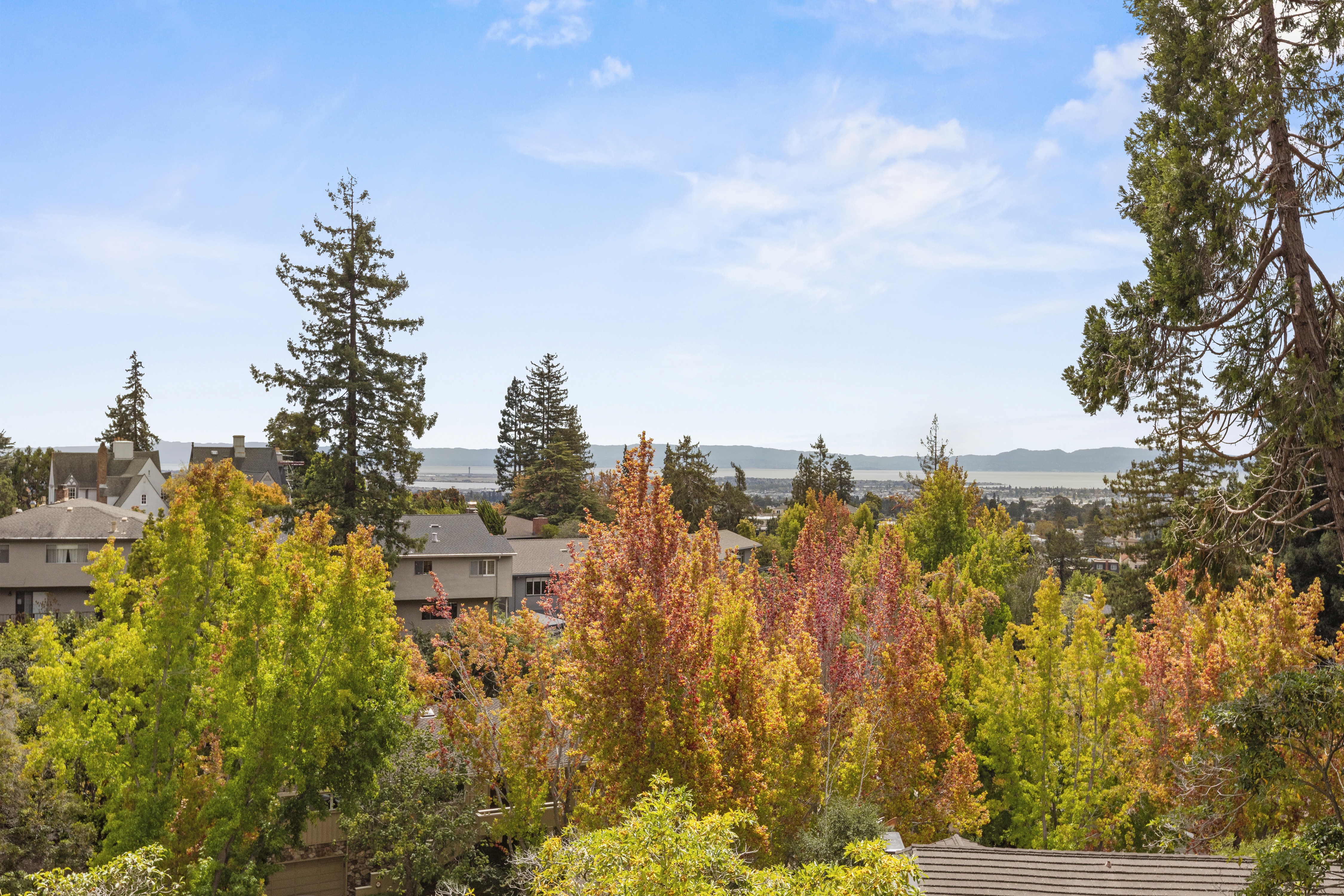  A Cherished Upper Piedmont Estate with Exceptional Views and Gardens - 物件實景