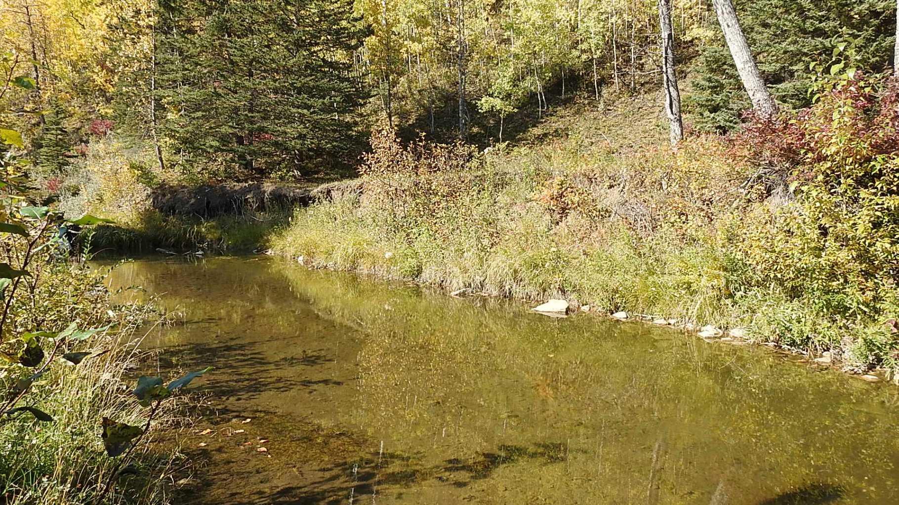 RURAL FOOTHILLS COUNTY, Alberta, T0L 1K0, CA, ,Residential,For Sale,1836944