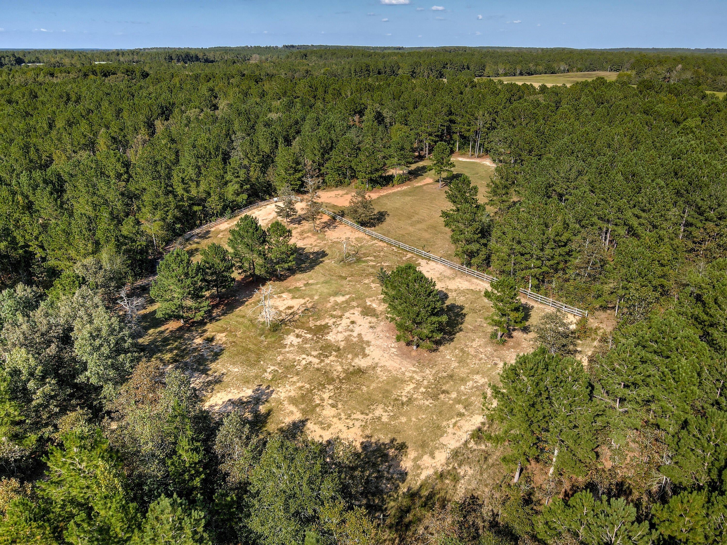Wagener, South Carolina, 29164, United States, ,Land,For Sale,1969040