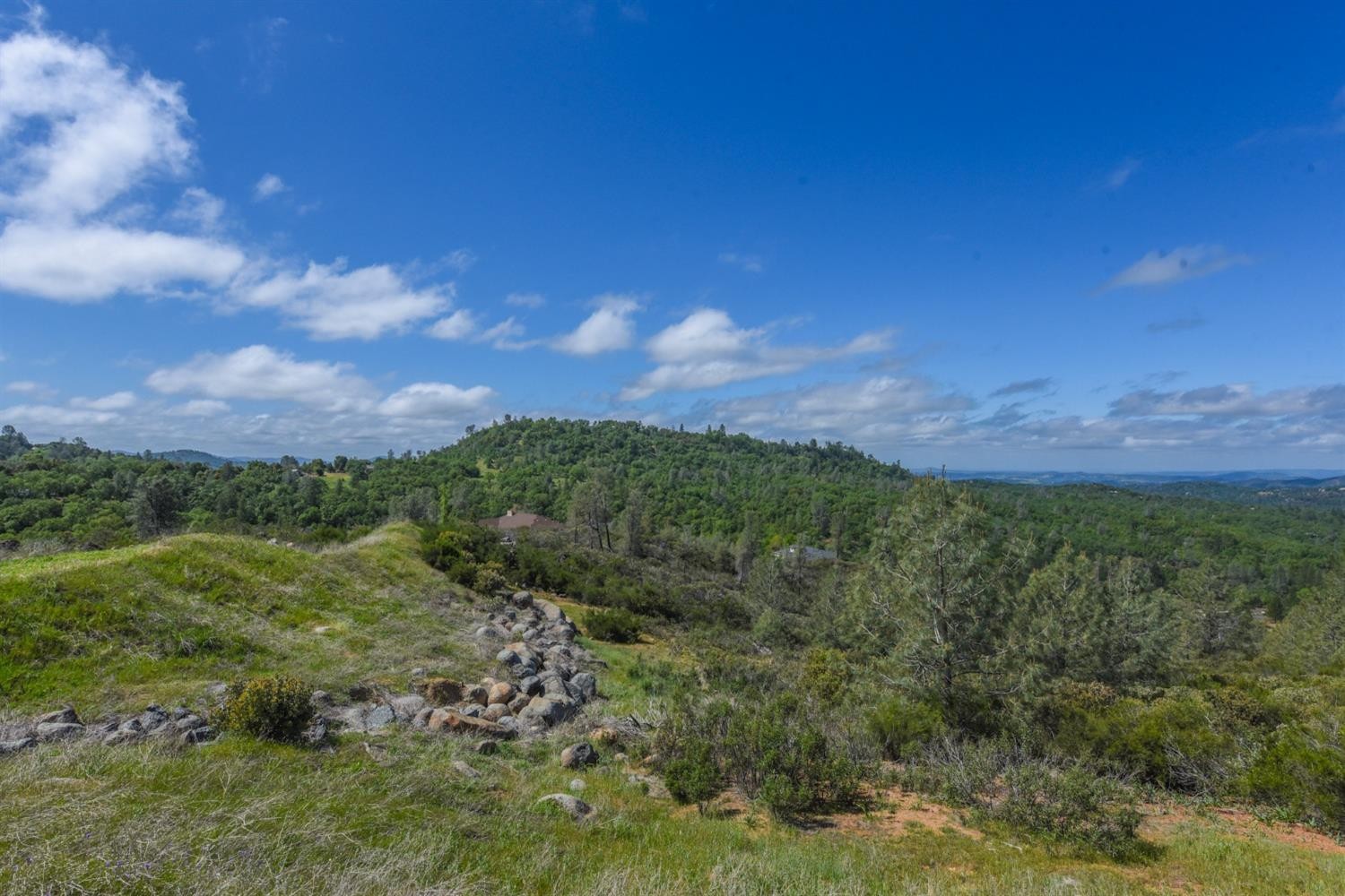 15880 Parkridge Avenue, Sonora, California, 95370, United States, ,Land,For Sale,15880 Parkridge Avenue,1432532