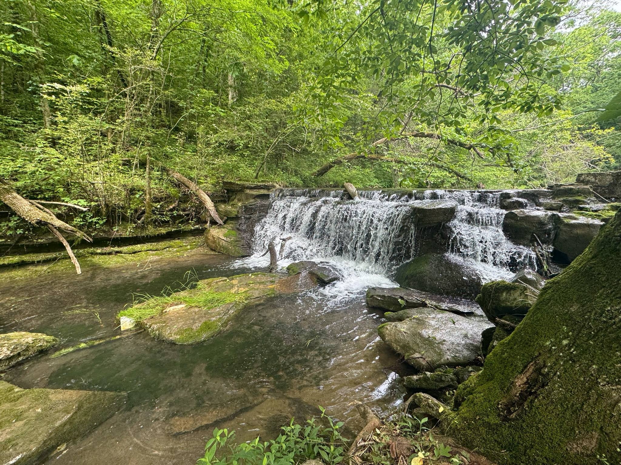 Liberty, Tennessee, 37095, United States, 3 Bedrooms Bedrooms, ,3 BathroomsBathrooms,Residential,For Sale,2006602