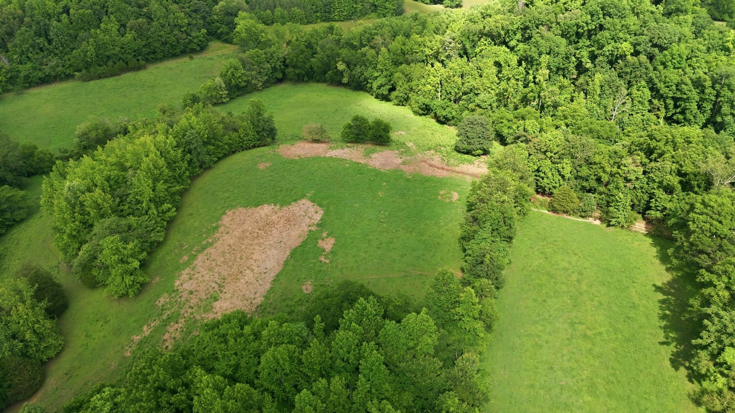  925 Sumac Rd, Pulaski, TN, 38478 - 物件實景