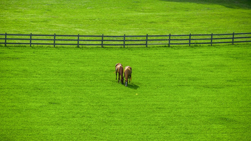 Blue Ridge, Georgia, 30513, United States, 3 Bedrooms Bedrooms, ,3 BathroomsBathrooms,Residential,For Sale,1974409