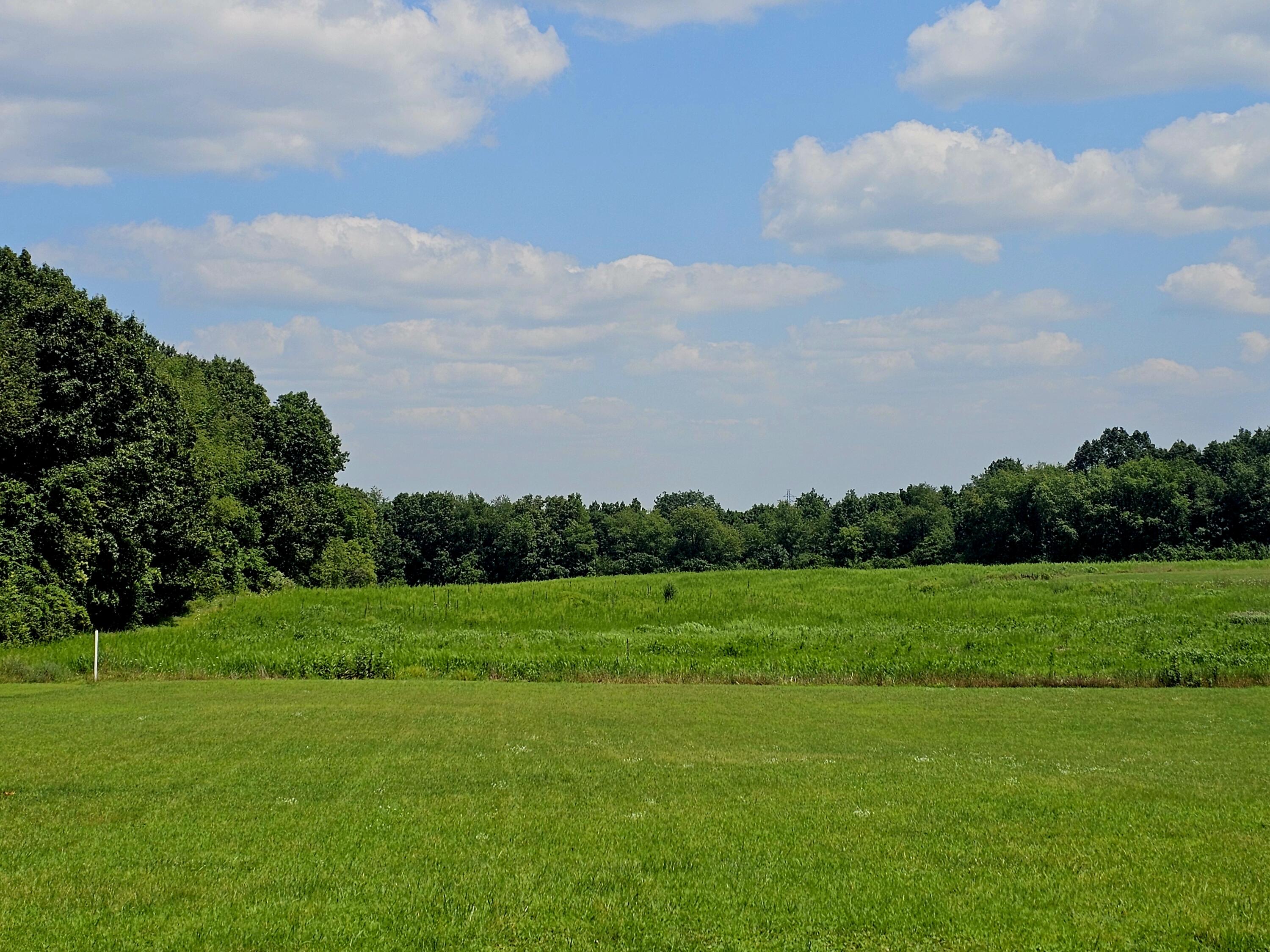 Jonesville, Michigan, 49250, United States, ,Land,For Sale,1983272