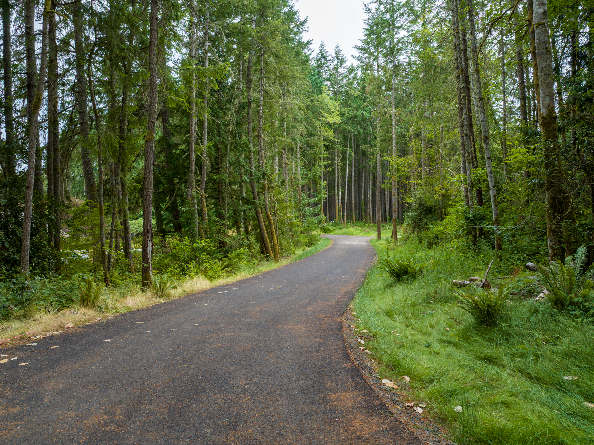  Lot B Bucsit Lane Northeast, Bainbridge Island, WA 98110 - 物件實景