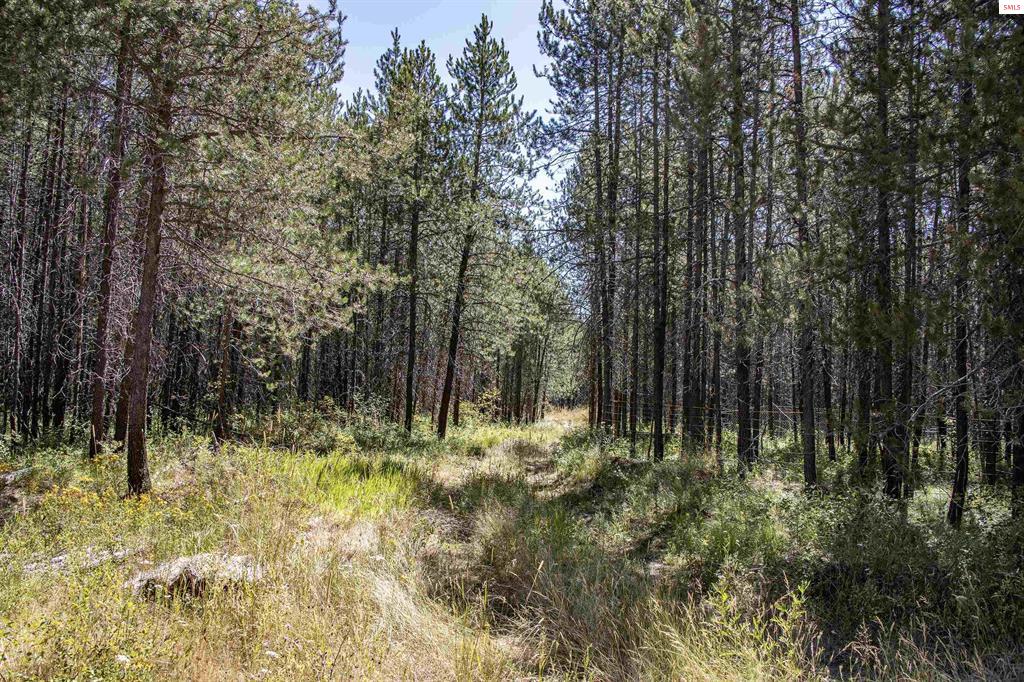 Spirit Lake, Idaho, 83869, United States, 3 Bedrooms Bedrooms, ,2 BathroomsBathrooms,Residential,For Sale,1909463
