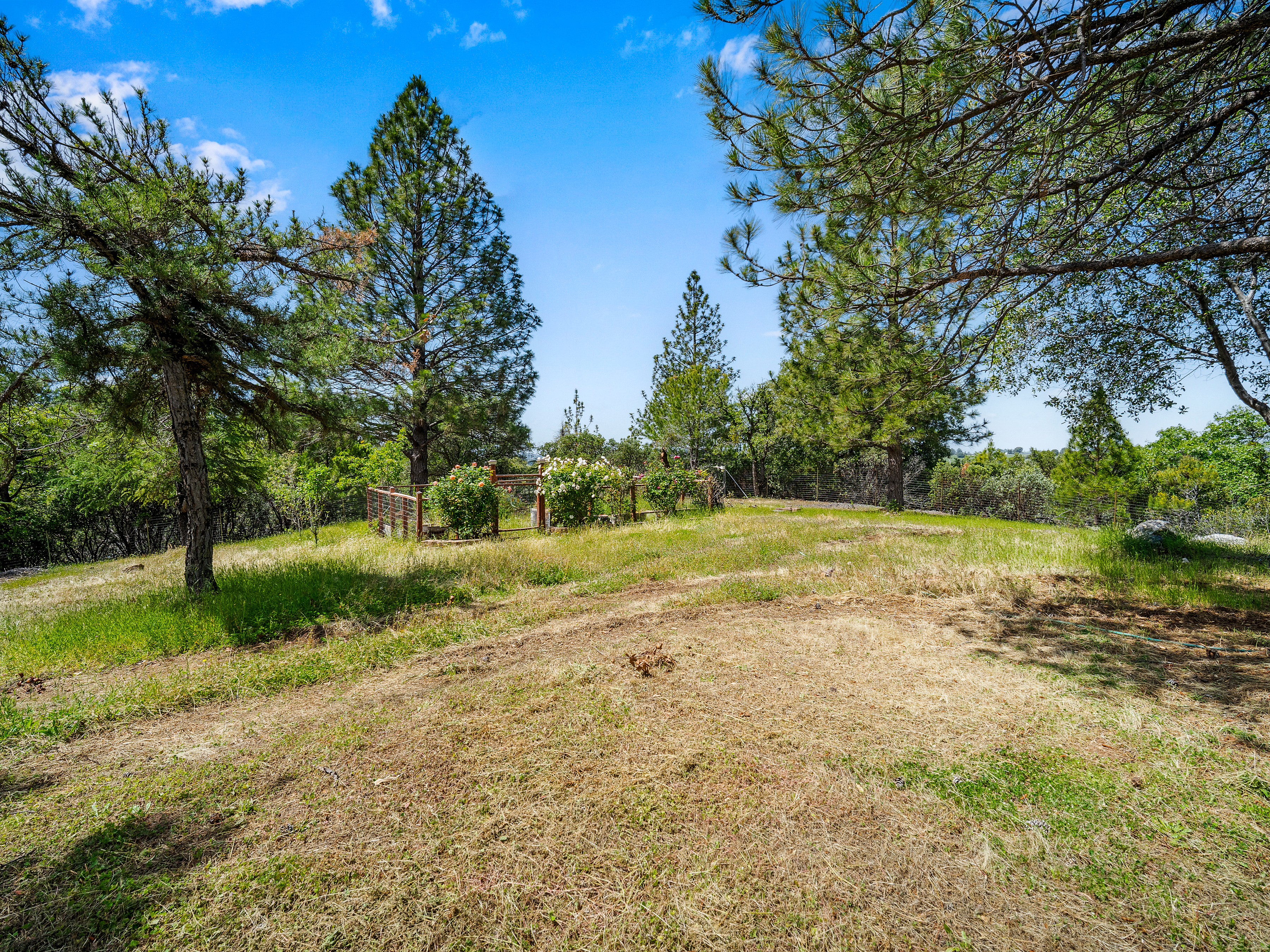  13185 Trent Court, Jackson, CA 95642 - 物件實景