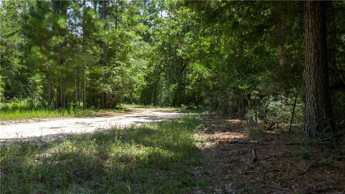 Midway, Texas, 75852, United States, 1 Bedroom Bedrooms, ,1 BathroomBathrooms,Residential,For Sale,1957289