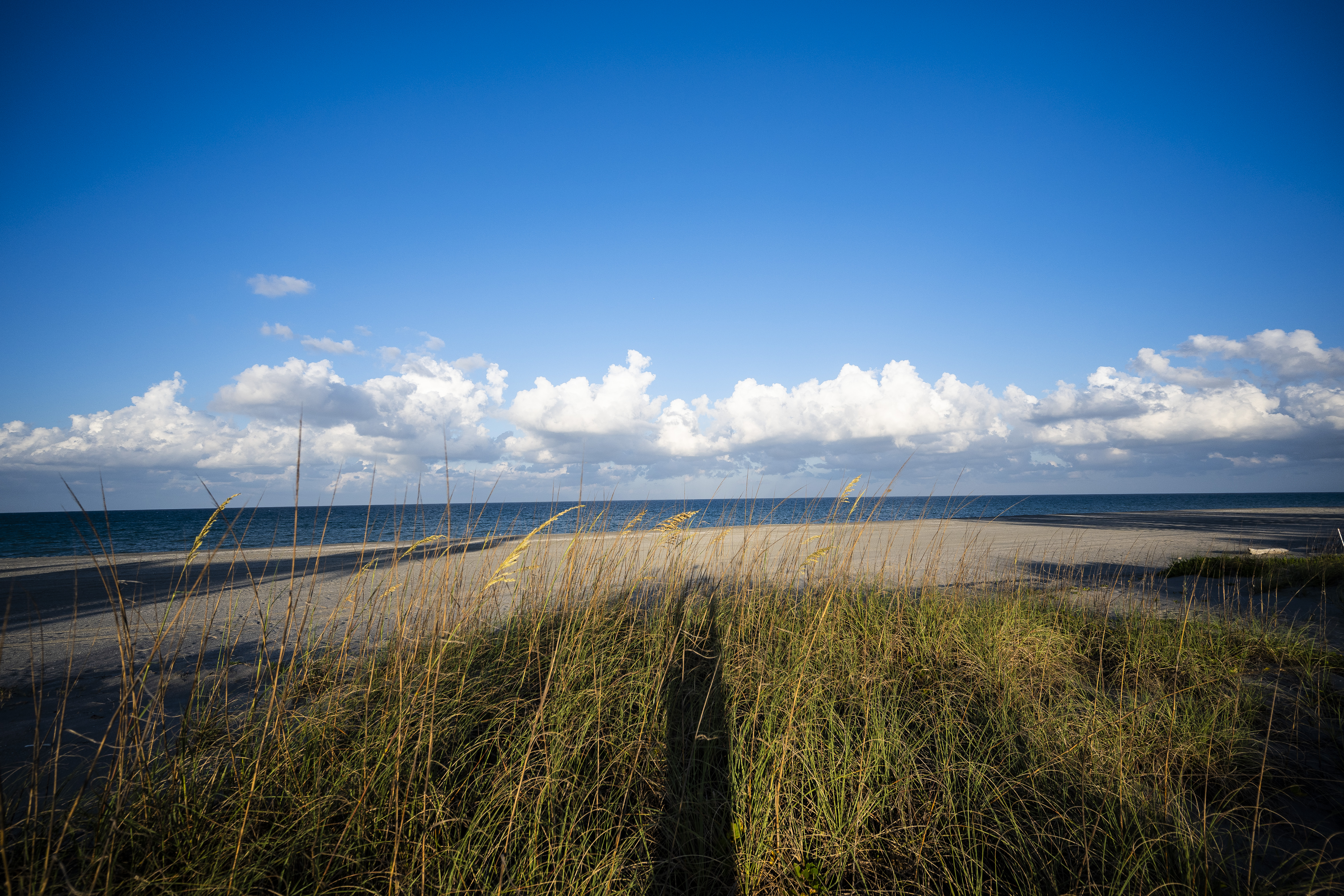 ObjectPhoto86