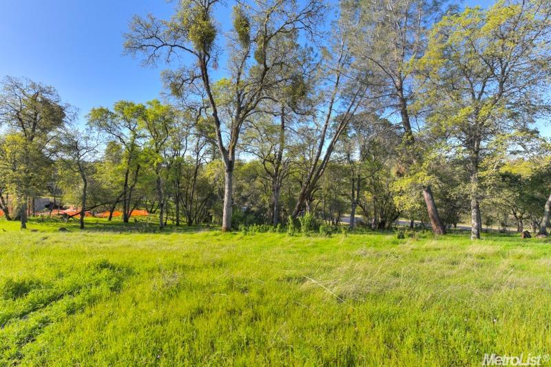 El Dorado Hills, California, 95762, United States, ,Land,For Sale,1993187