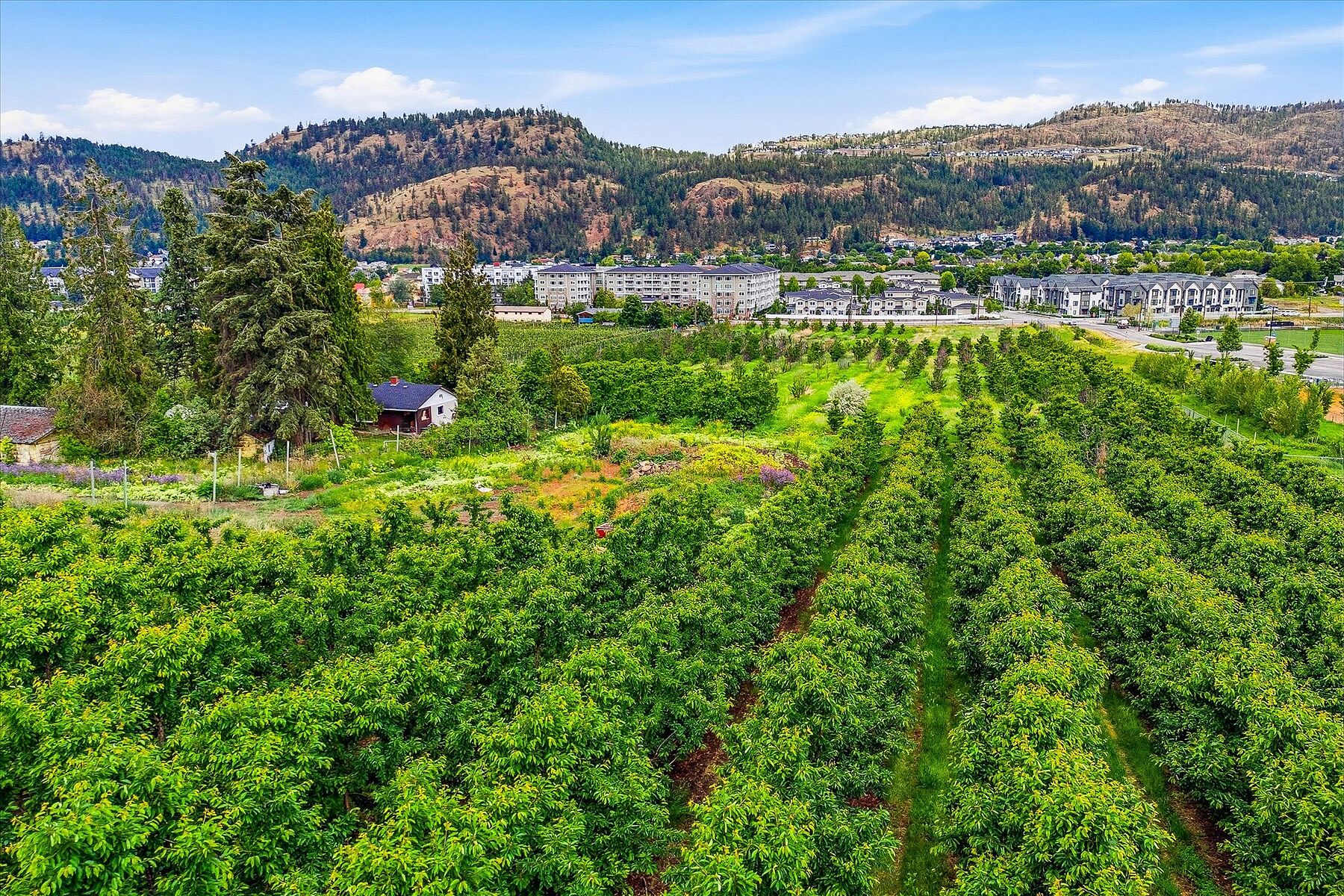  Glenmore Farm Acreage - 物件實景