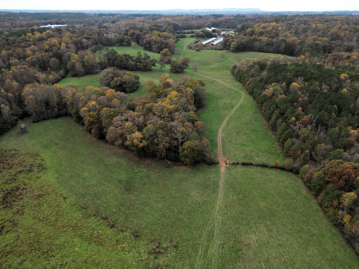 Bowdon, Georgia, 30108, United States, ,Land,For Sale,1989904