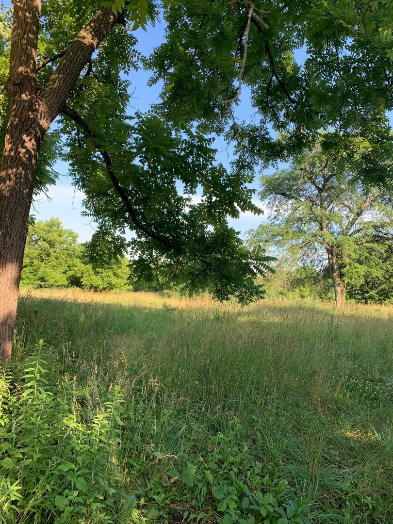 Long Grove, Illinois, 60047, United States, ,Land,For Sale,1794111
