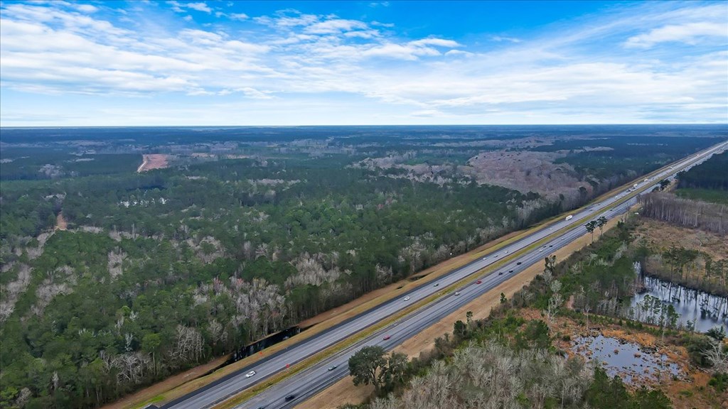 156 AC Us Hwy 17 Hwy, Townsend, Georgia, 31331, United States, ,Land,For Sale,156 AC Us Hwy 17 Hwy,1472997