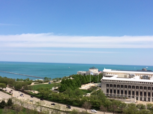 Chicago, Illinois, 60605, United States, 2 Bedrooms Bedrooms, ,2 BathroomsBathrooms,Residential,For Sale,1751955