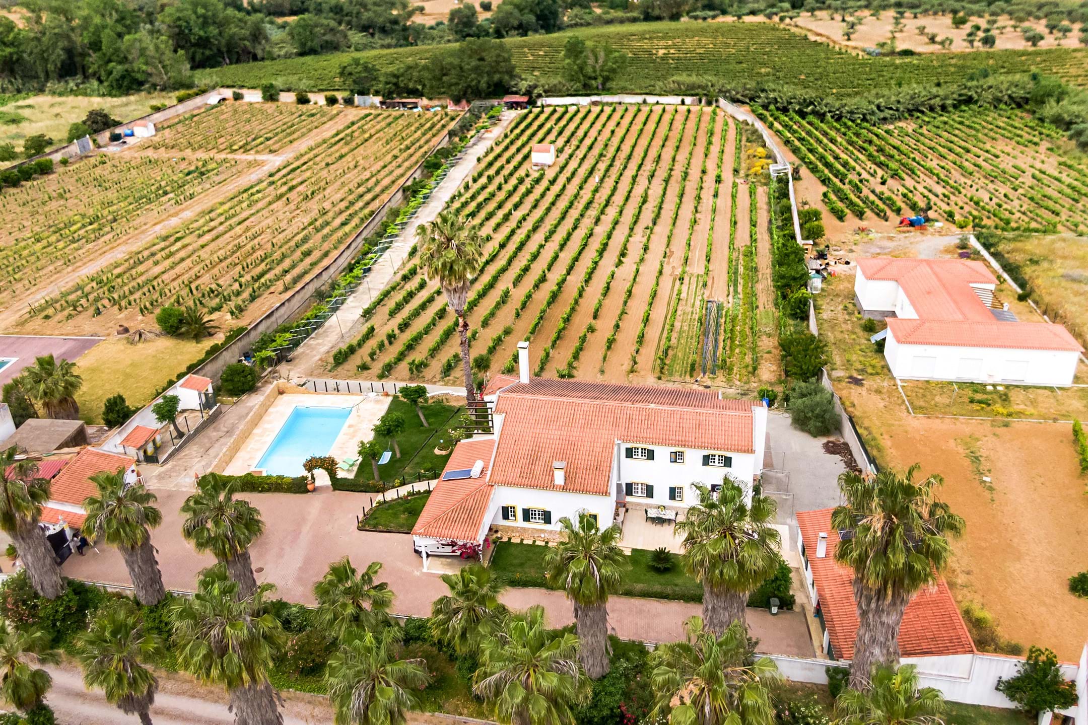 Vidigueira, Beja, 7960-313, PT, 5 Bedrooms Bedrooms, ,4 BathroomsBathrooms,Residential,For Sale,1699252