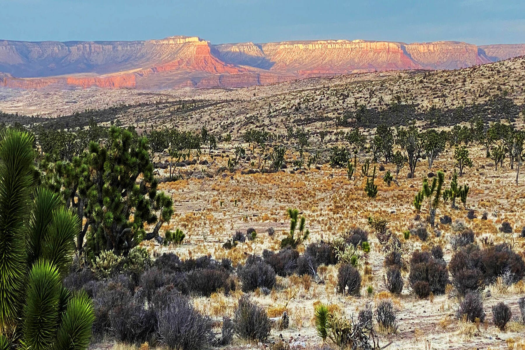  5838 E Diamond Bar Road ¦ Meadview, AZ - 物件實景