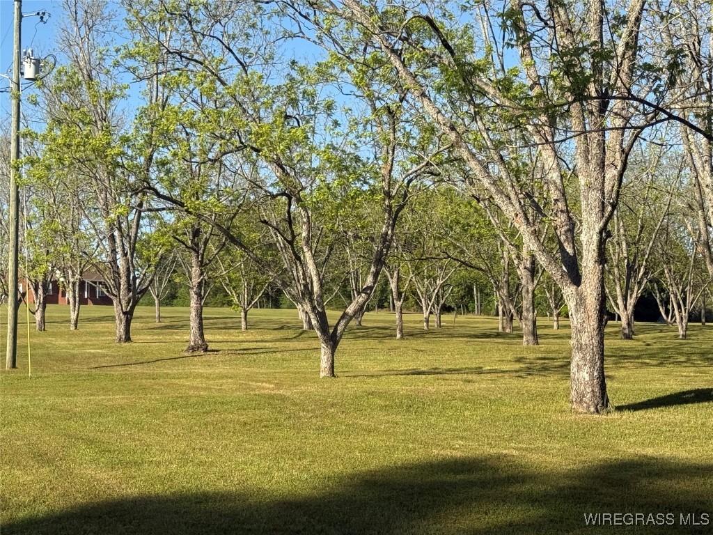 Enterprise, Alabama, 36330, United States, 4 Bedrooms Bedrooms, ,4 BathroomsBathrooms,Residential,For Sale,1912414