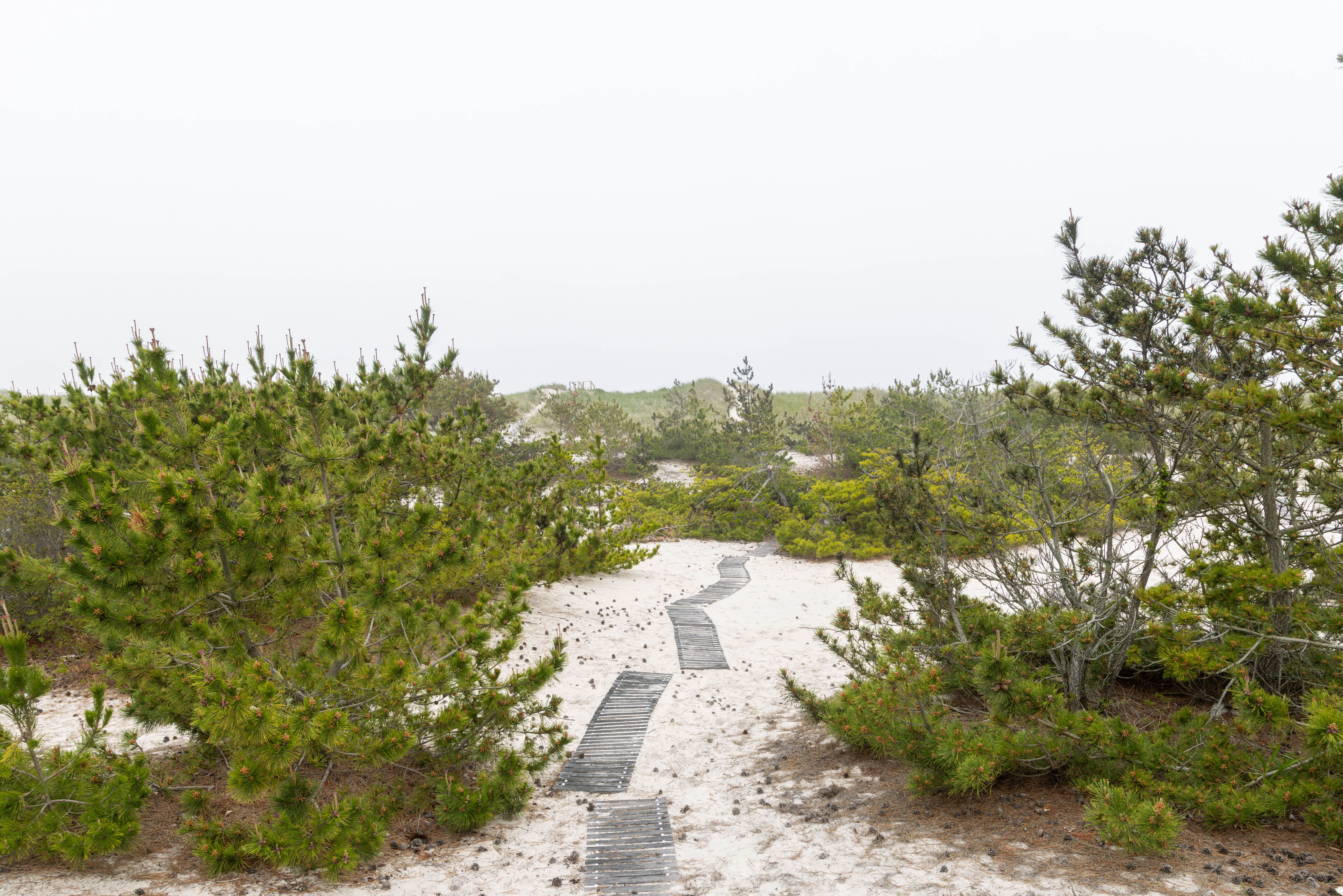  398 Dune Road, Westhampton Beach, NY 11978 - 物件實景
