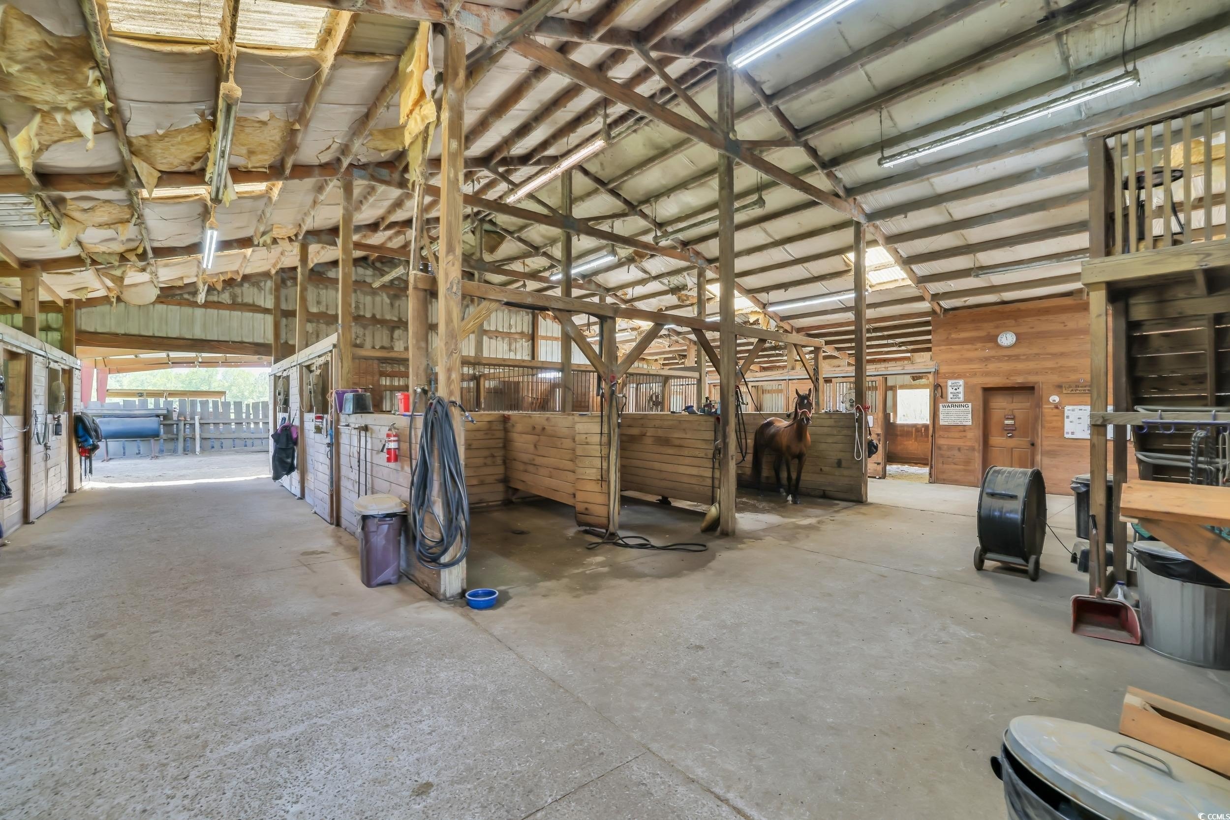 Conway, South Carolina, 29526, United States, ,Land,For Sale,1974843