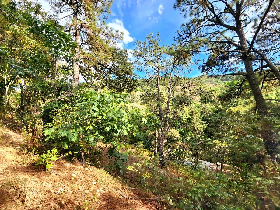 Valle de Bravo, Estado de México, 51204, Mexico, 1 Bedroom Bedrooms, ,Residential,For Sale,1720701