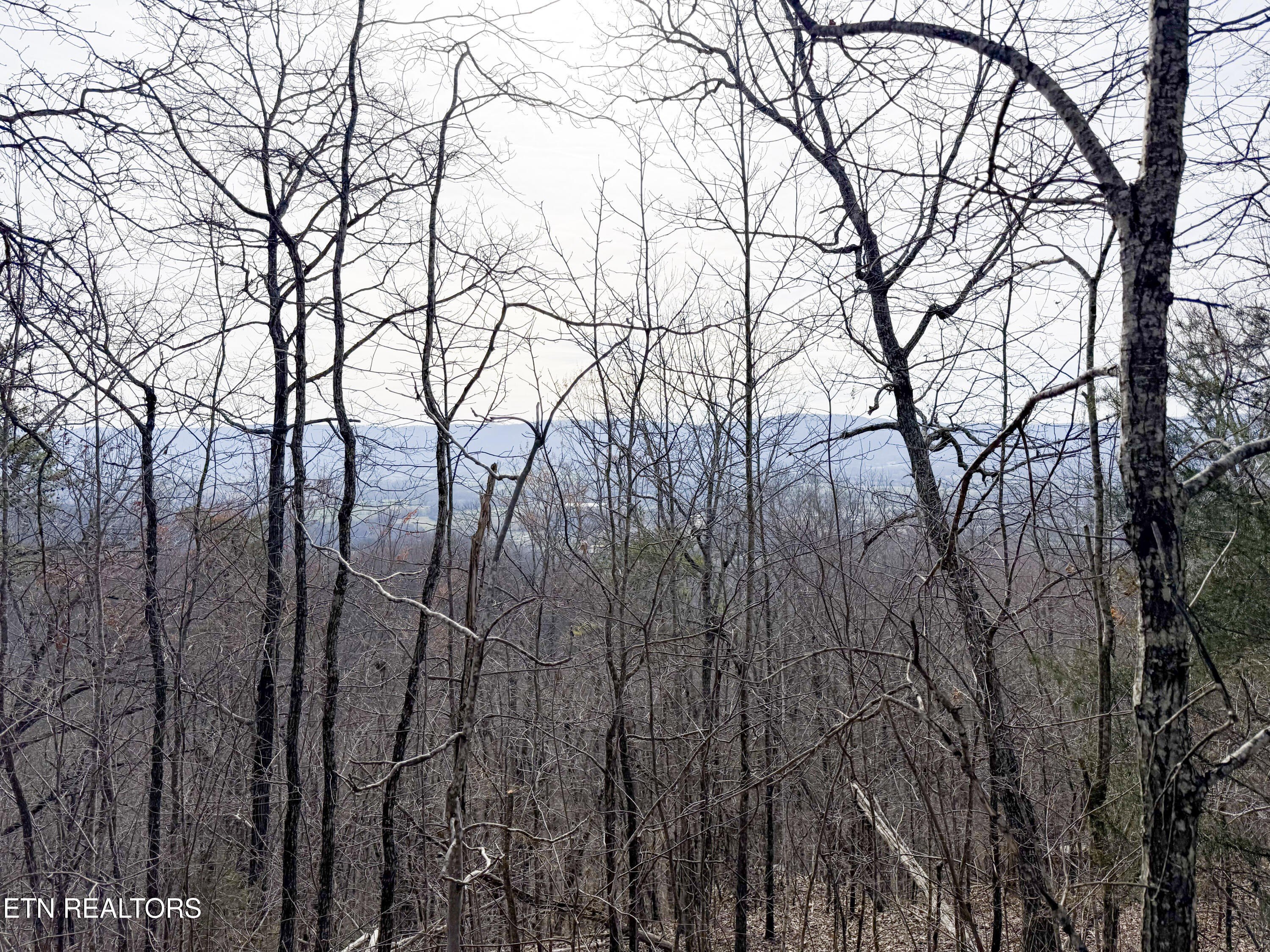 Pikeville, Tennessee, 37367, United States, 3 Bedrooms Bedrooms, ,2 BathroomsBathrooms,Residential,For Sale,1974789