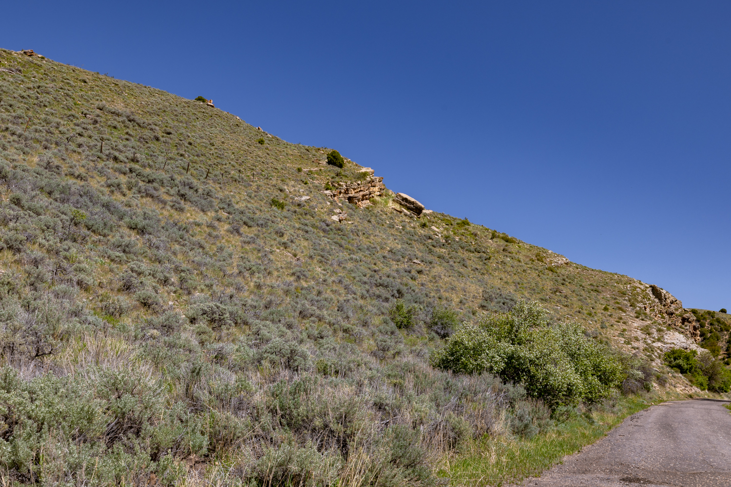 Lapoint, Utah, 84039, United States, ,Land,For Sale,1977386