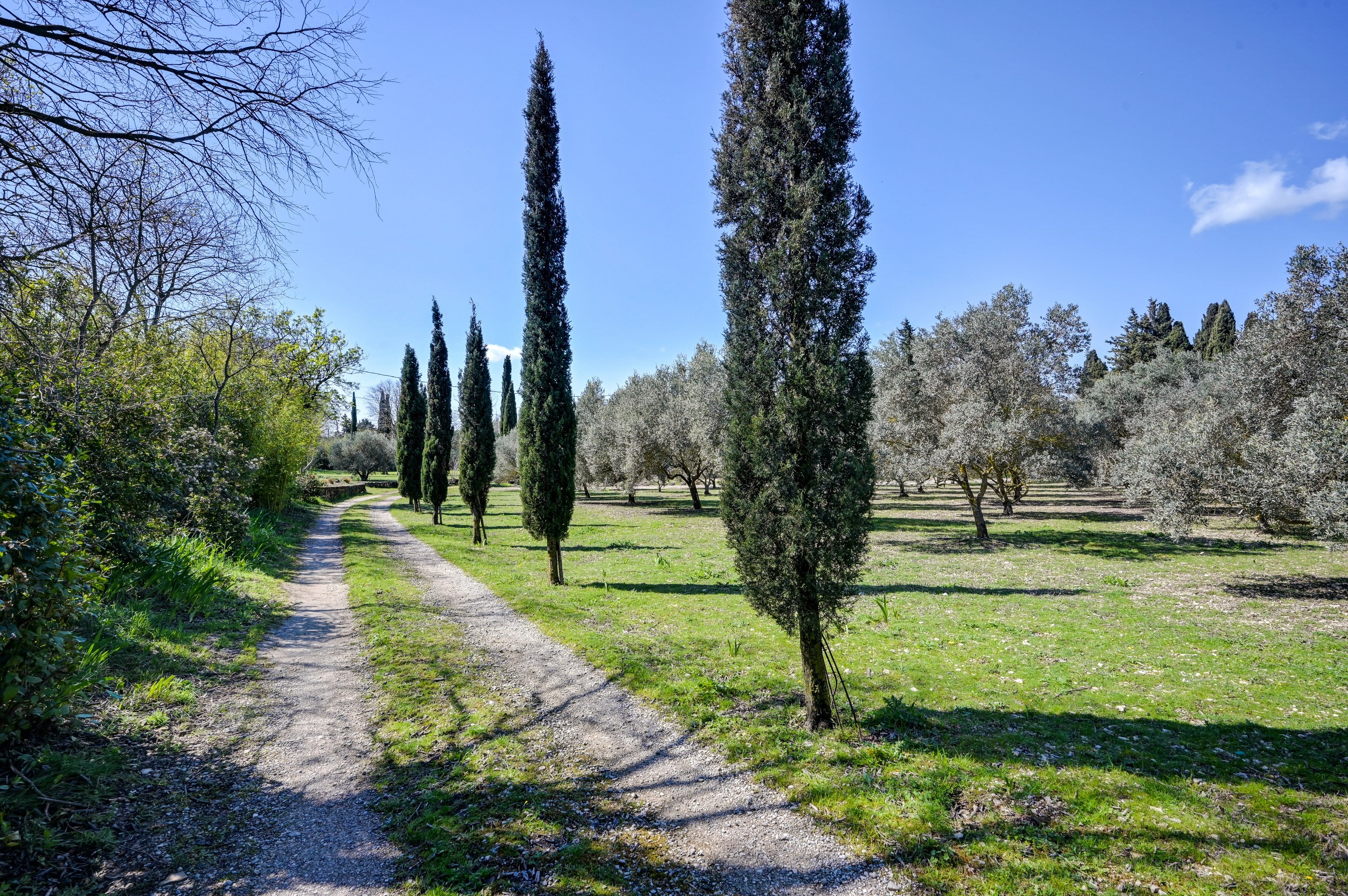  Stone mas set within a private olive grove in Saint-Rémy-de-Provence - 物件實景