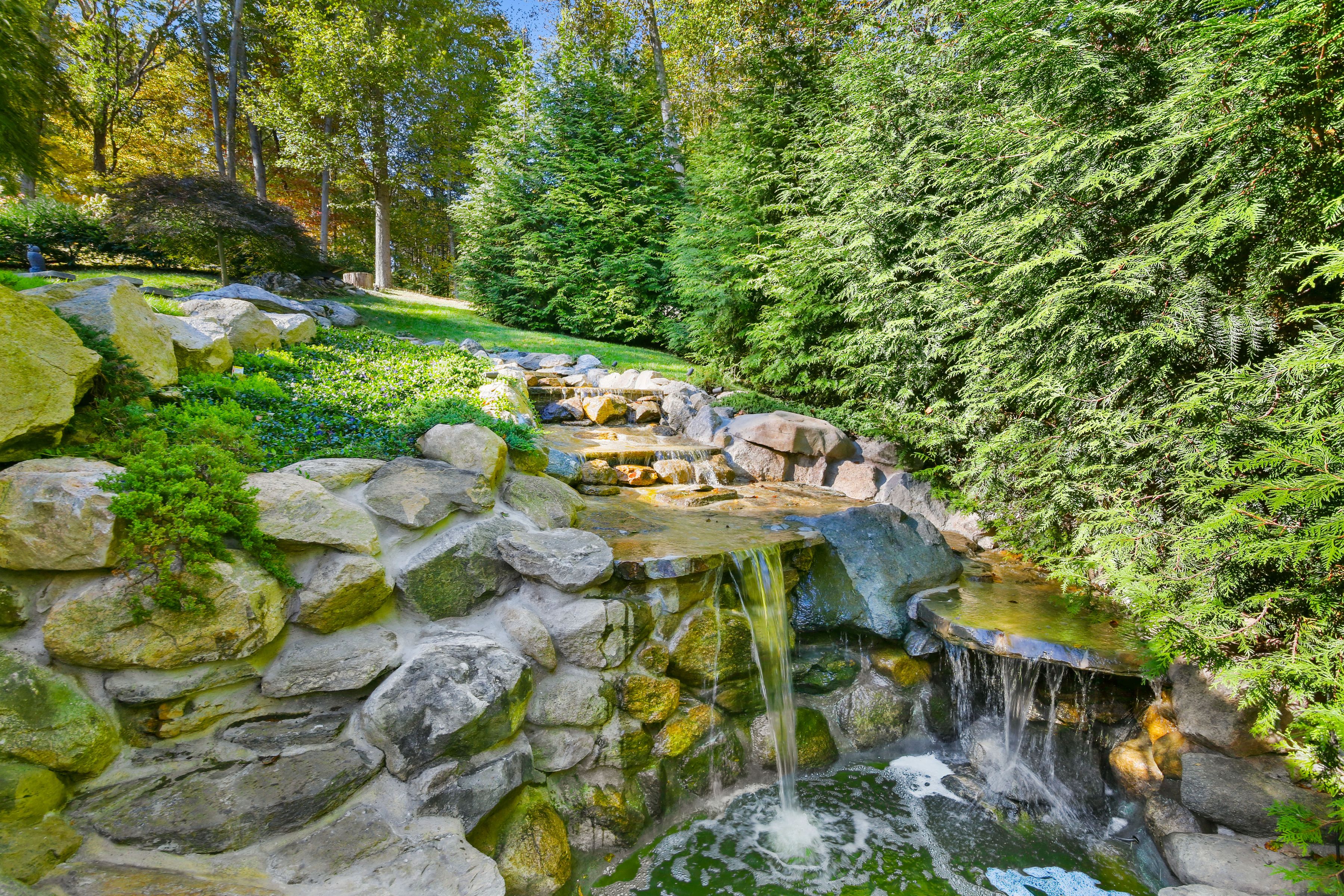  210 Red Fox Road - 物件實景