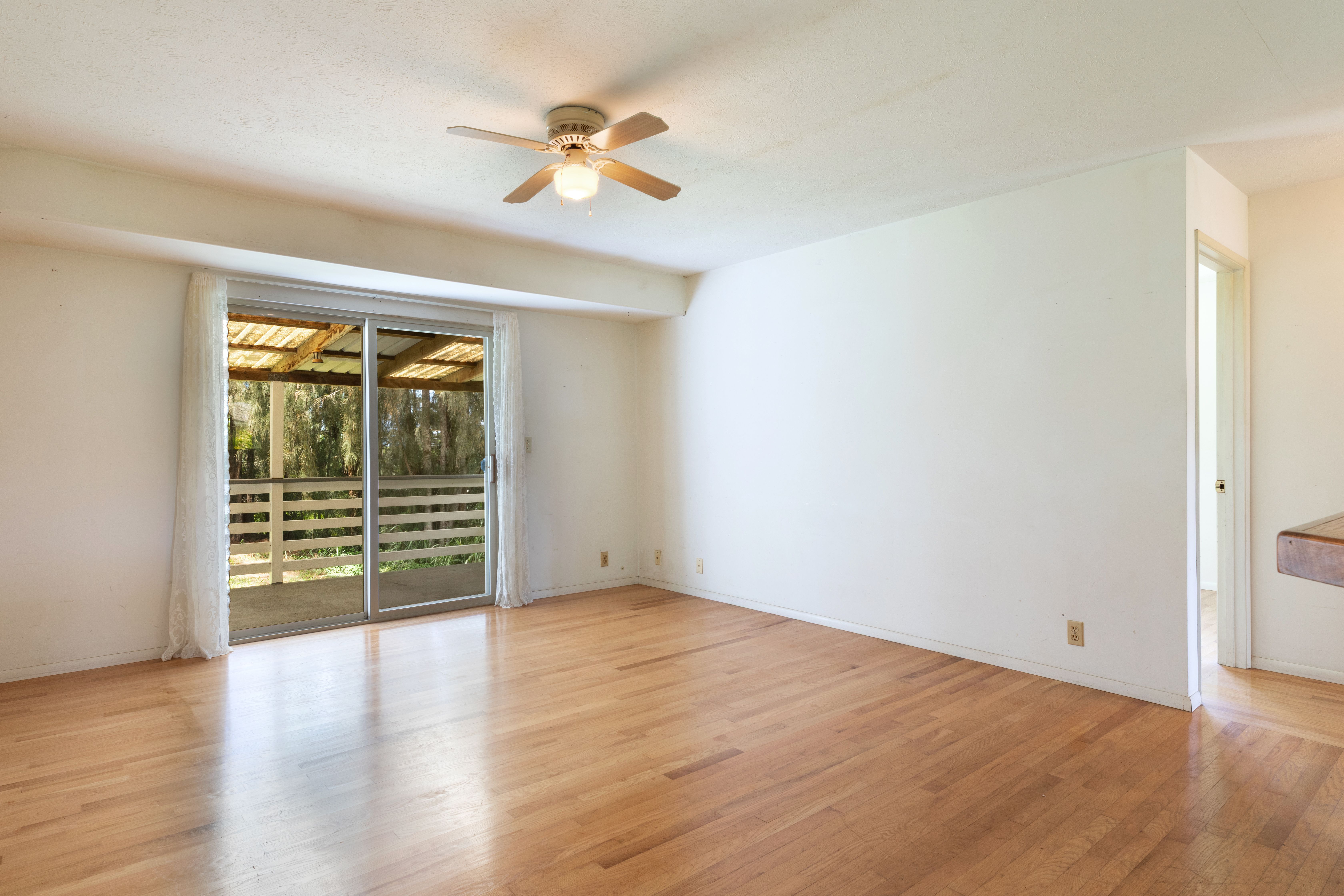  55-508 Ilina Rd, Hawi, HI, 96719 - 物件實景