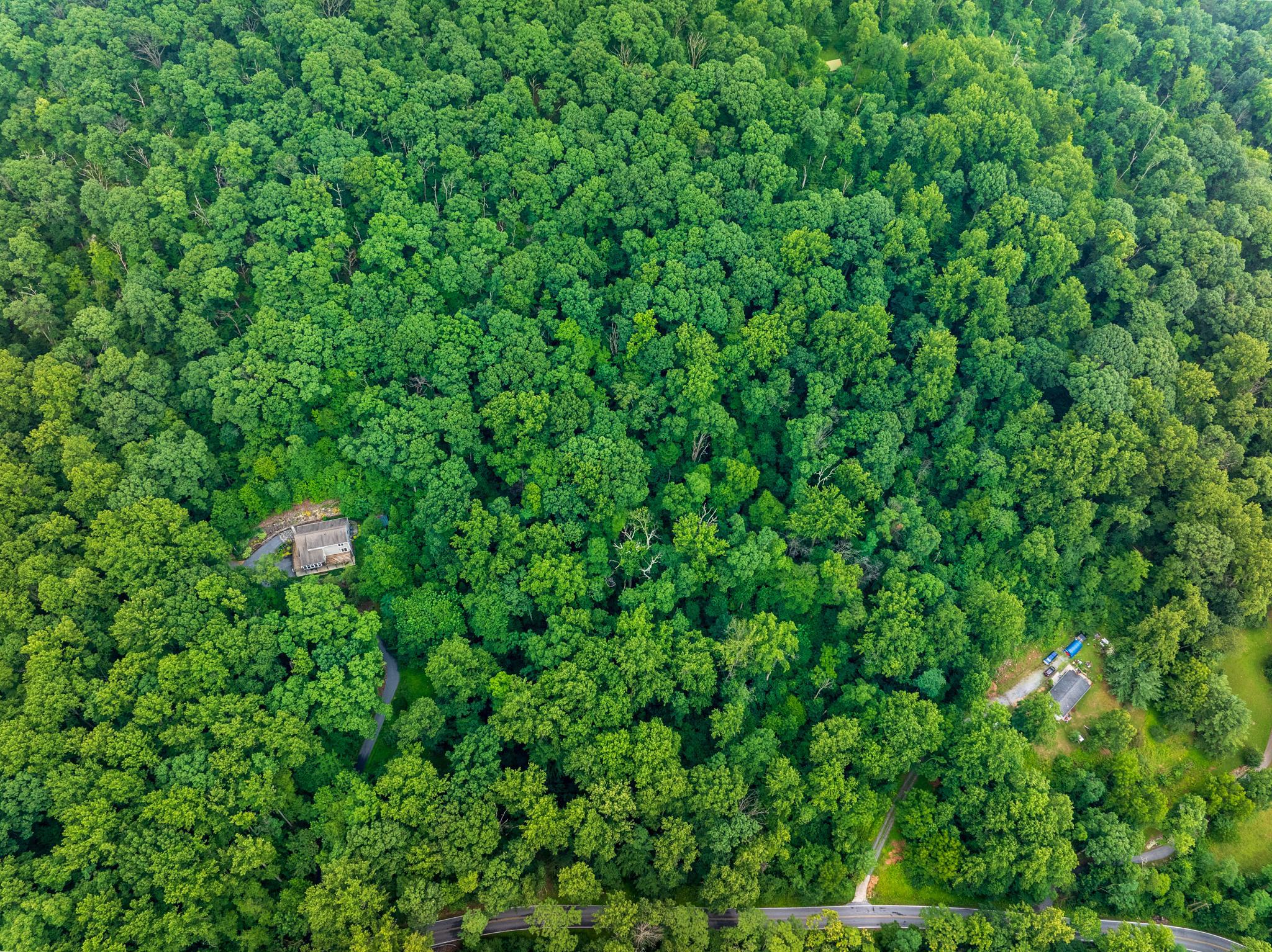  4617 Fishers Hollow Road, Myersville, MD, 21773 - 物件實景