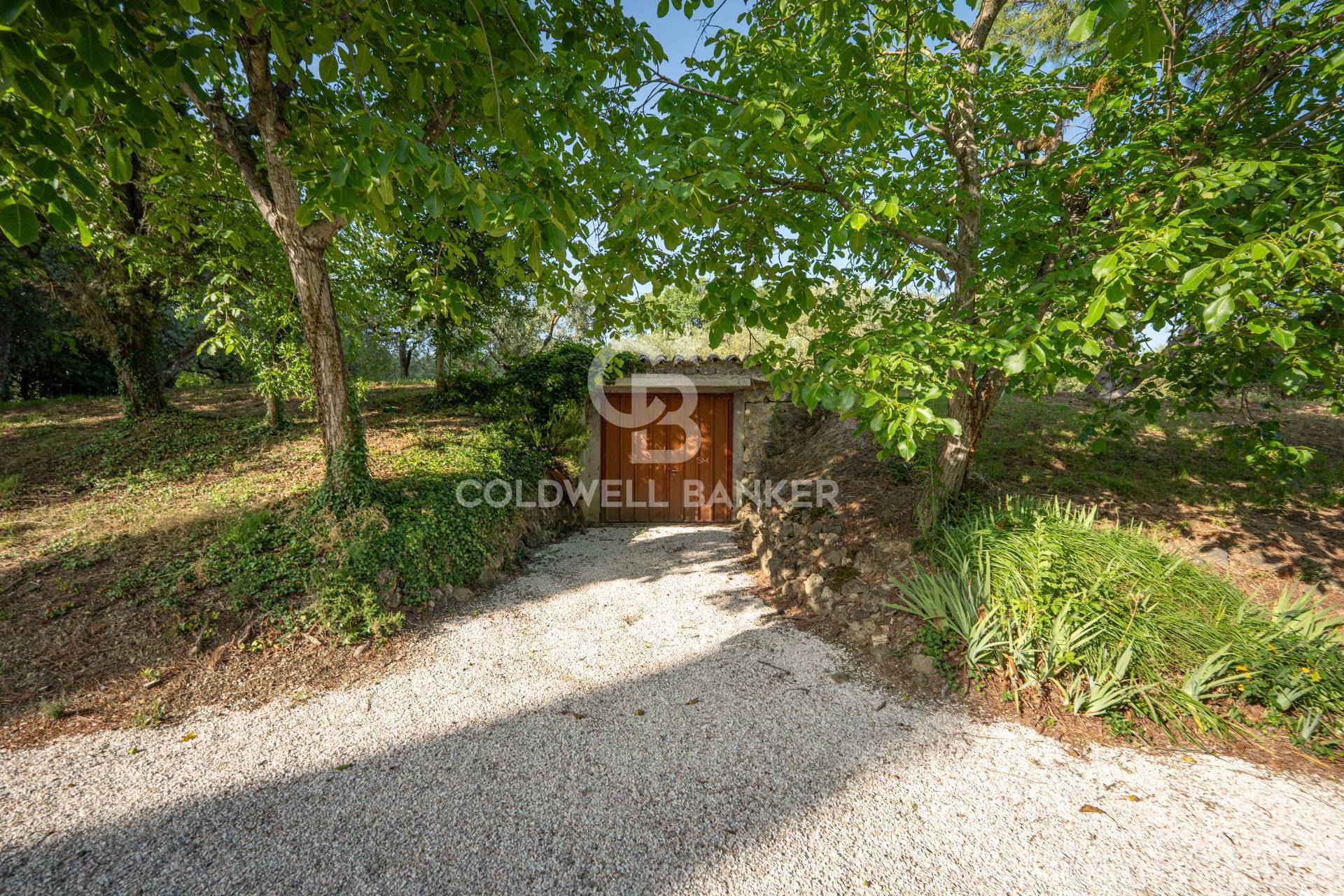 Perugia, Perugia, 06100, IT, 6 Bedrooms Bedrooms, ,3 BathroomsBathrooms,Residential,For Sale,1883691