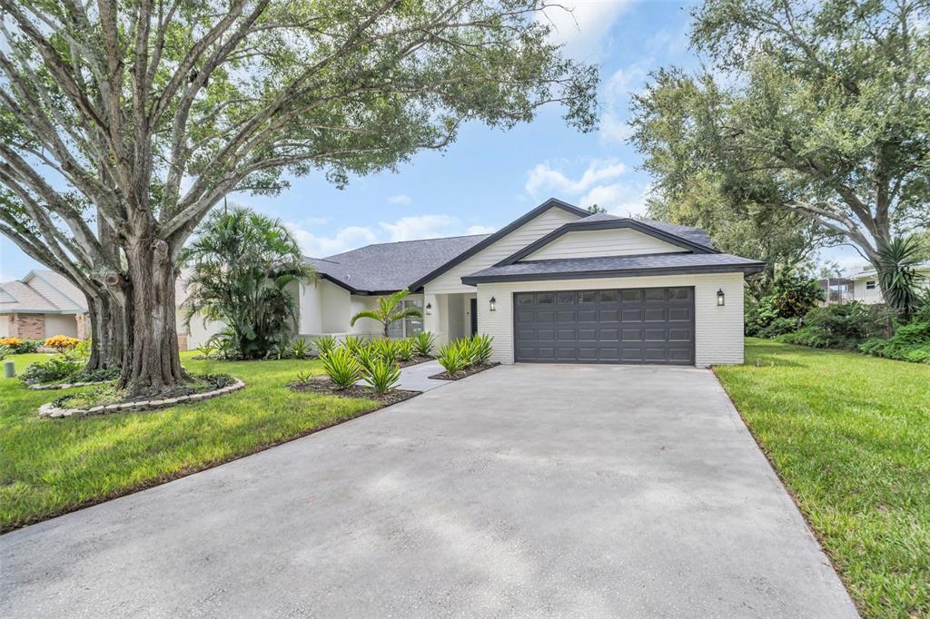 Palm Harbor, Florida, 34683, United States, 4 Bedrooms Bedrooms, ,3 BathroomsBathrooms,Residential,For Sale,1989112