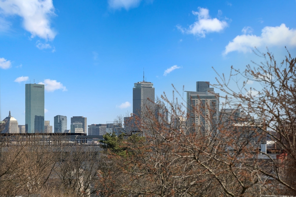 Boston, Massachusetts, 02135, United States, 2 Bedrooms Bedrooms, ,2 BathroomsBathrooms,Residential,For Sale,1873644
